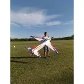  V2 CA Model Cuantic – F3A Two Meter Pattern Plane ARF Special order includes shipping (Pink Scheme)